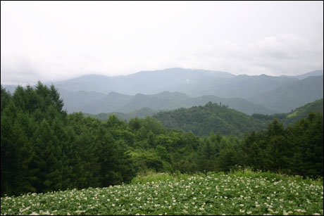 송한리에서 바라본 산하(1) 